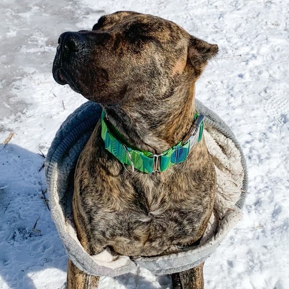 Meet your Posher, John - Picture 1 of 1